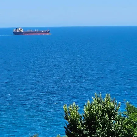 за гости гавань * Bjala