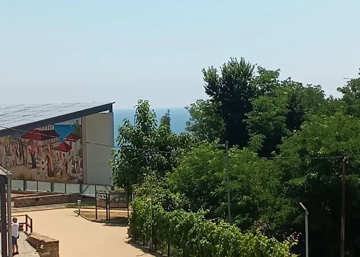 за гости гавань *