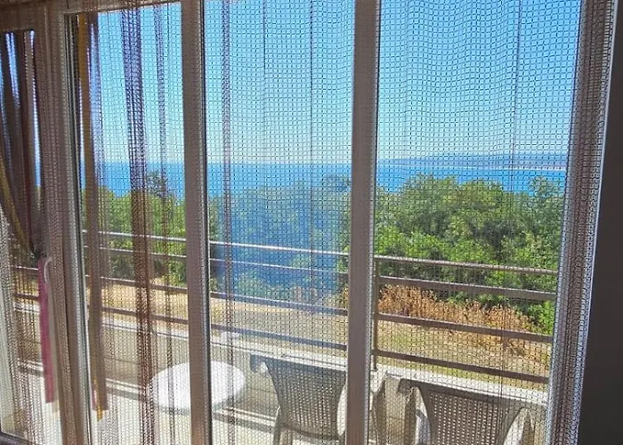 за гости гавань *