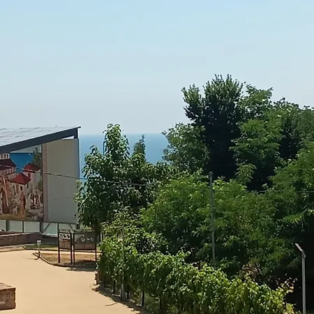 за гости гавань *